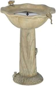 Elegant Bird Bath on a Pedestal