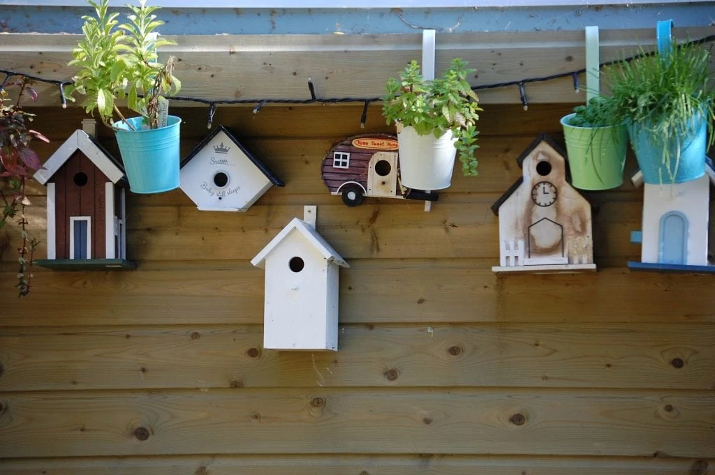 best birdhouses - features image
