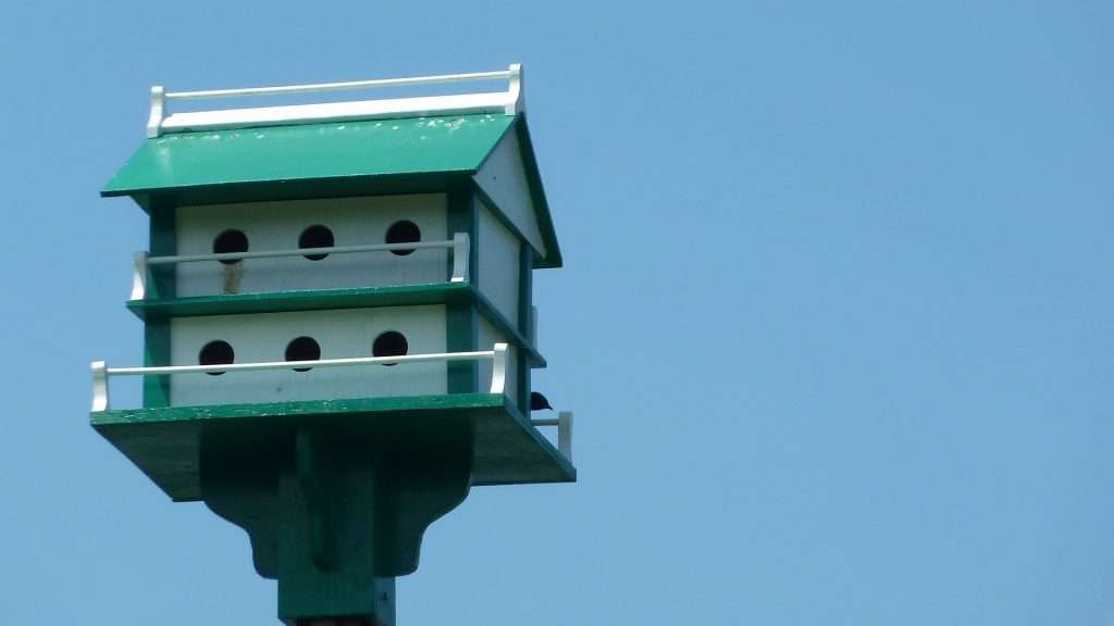 Purple Martin Bird House