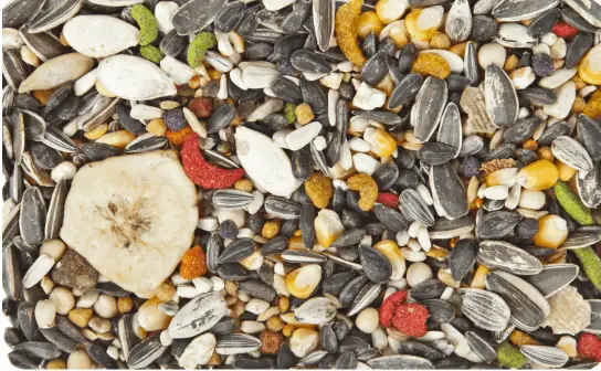 mixed bird seeds spread out