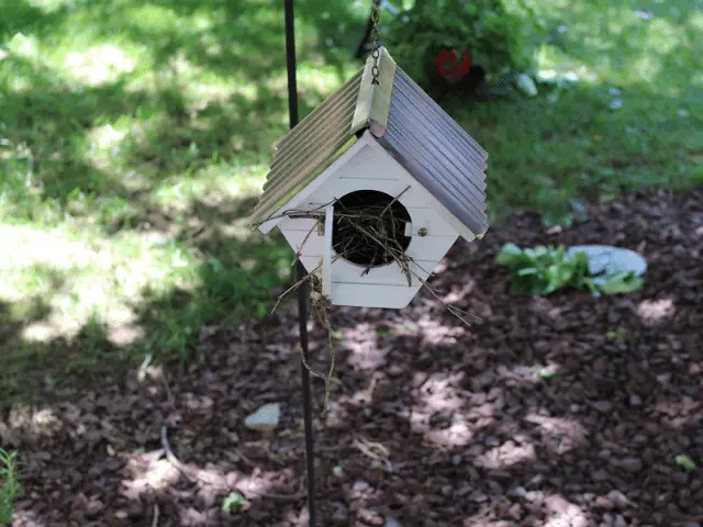 birdhouse on a pole