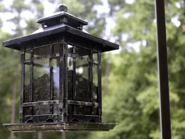 Ornate, large bird feeder