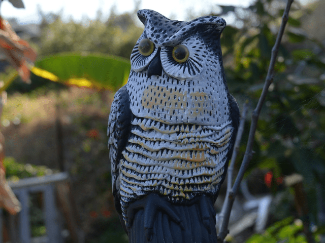 fake garden owl