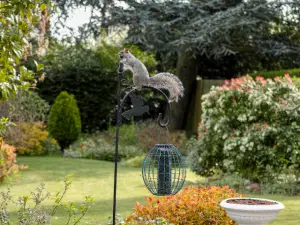 squirrel on top of a feeder pole