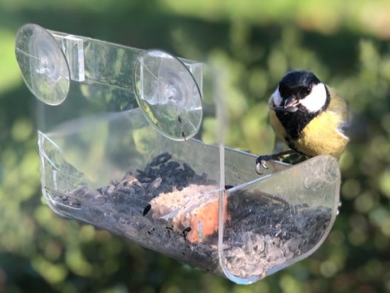 5 Best Window Bird Feeder Models For Clear Viewing - Love The Birds