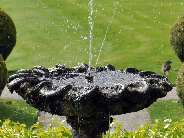 stone bird bath in a middle of field