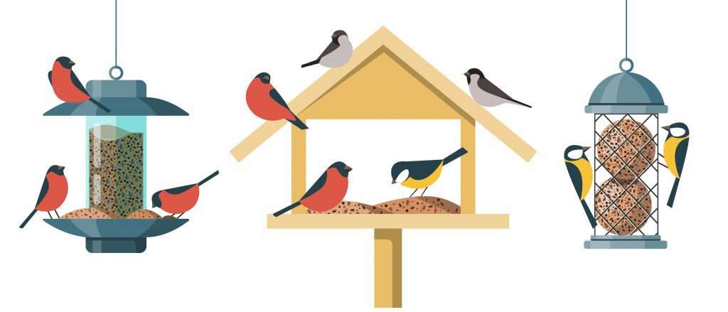 love the birds homepage bird feeder illustrations