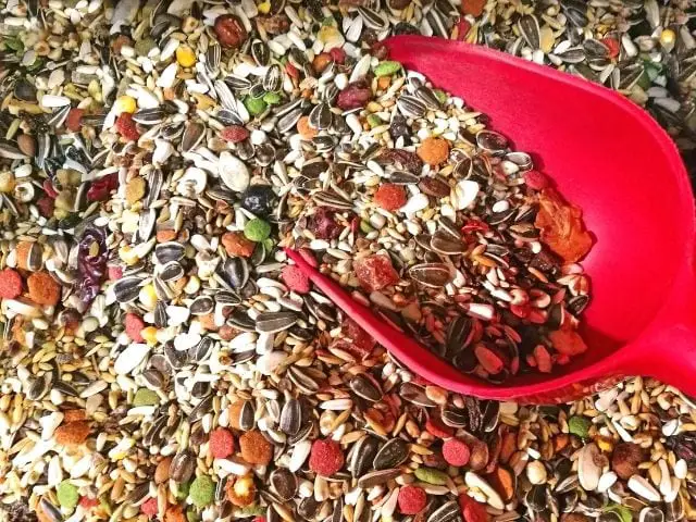Different kinds of seeds to attract birds