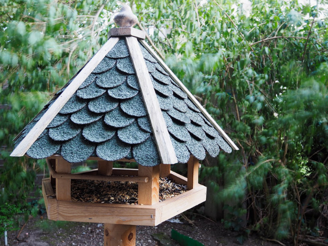 Bird Feeder with a pole