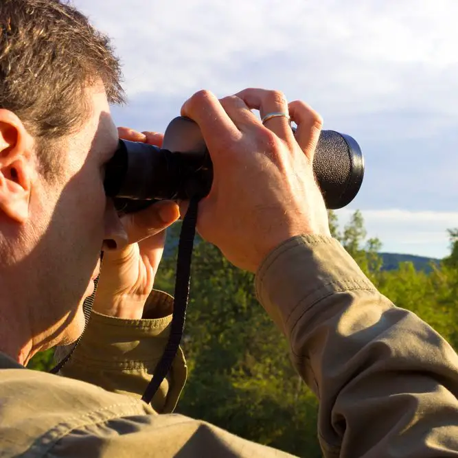 brandon bird watching in the woods