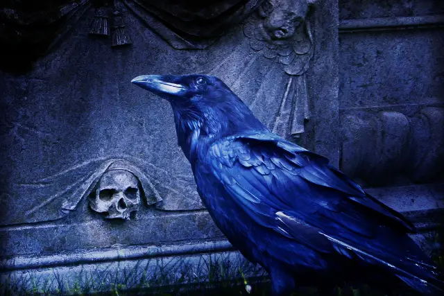 a raven by a tomb