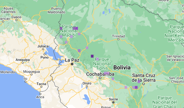 Map of Bolivia.