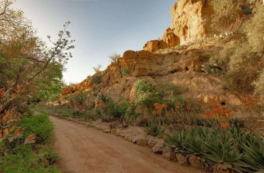 Arizona Boyce Thompson Arboretum State Park Scene