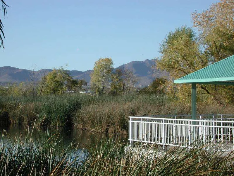 Arizona Sweetwater Wetlands Scene