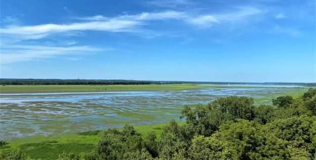 Illinois Chautauqua National Wildlife Refuge Scene