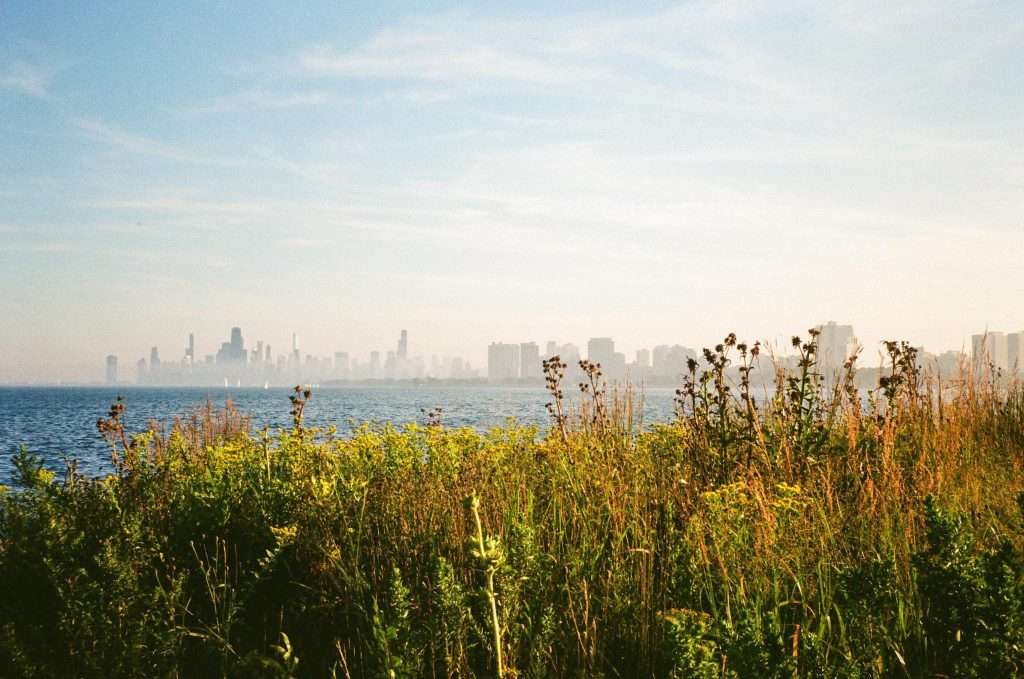 Illinois Montrose Point Bird Sanctuary Scene of a field with high rise buildings in the background.