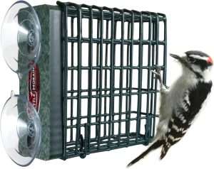 Kettle Moraine Suet Feeder