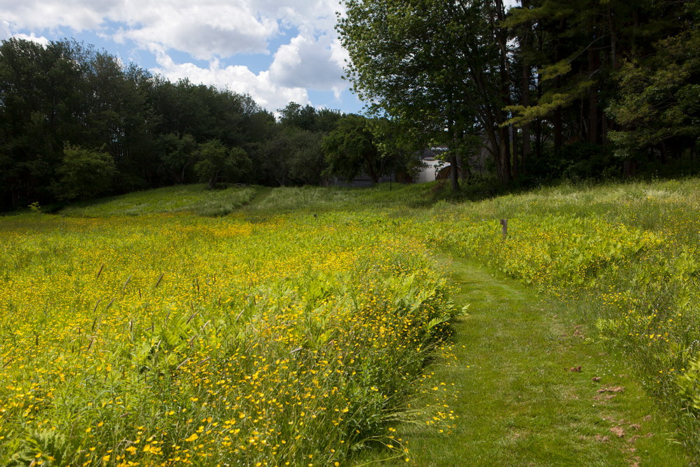 Maine Gilsland Farm Audubon Center Scene