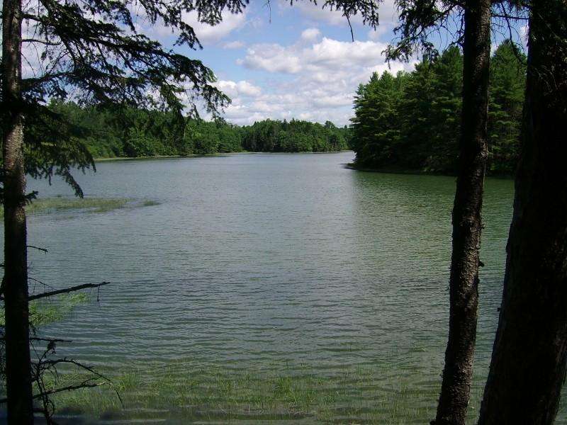 Maine Hamilton Audubon Sanctuary Scene