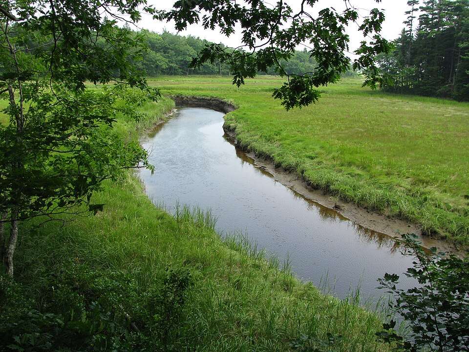 Maine Rachel Carson NWR Scene