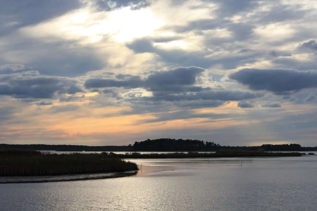 Maryland Blackwater NWR Scene