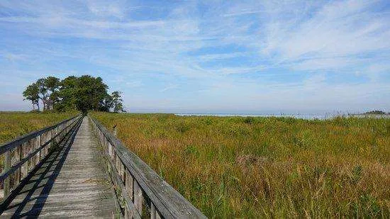 Maryland Eastern Neck NWR Scene