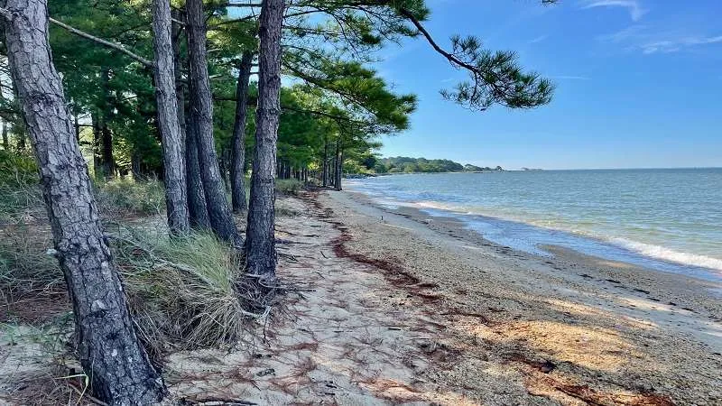 Maryland Point Lookout State Park Scene