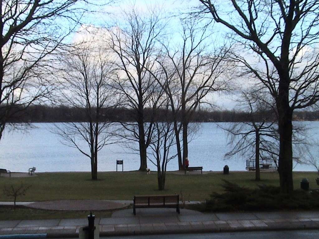 Michigan Reeds Lake Scene