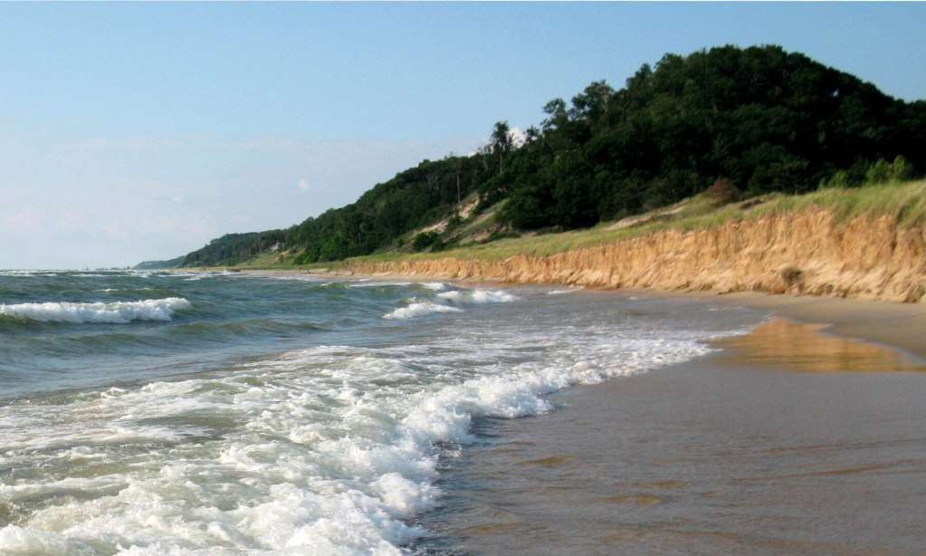Michigan Saugatuck Dunes State Park Scene