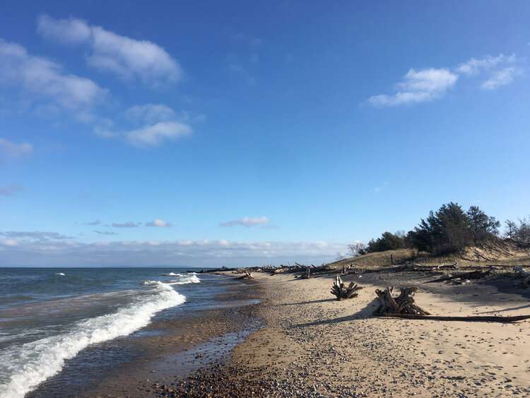 Michigan Whitefish Point Scene