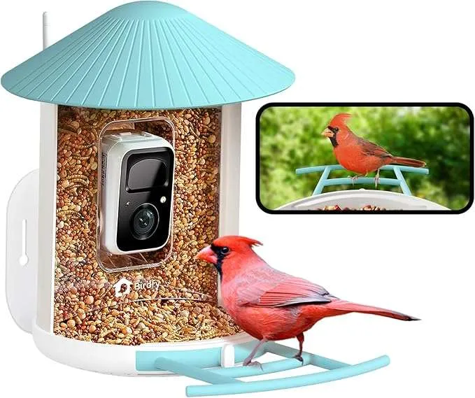 A bird feeder with camera inset into the frame.