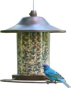 Perky Pet Panorama Feeder