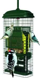 Squirrel Proof Suet Feeder
