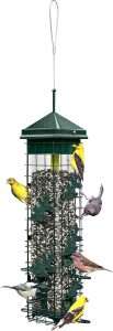 Squirrel Solution 200 Feeder