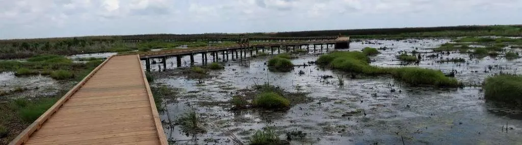 Texas Anahuac National Wildlife Refuge Scene