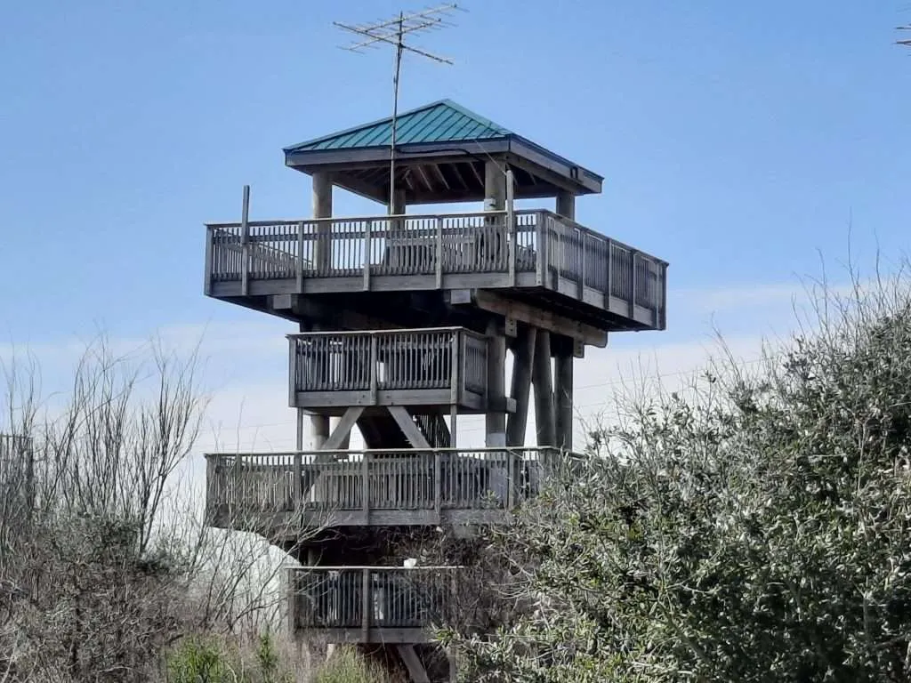Texas Quintana Neotropical Bird Sanctuary Scene