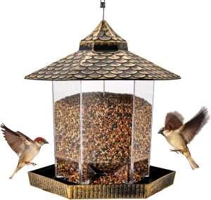 Twinkle Star Feeder