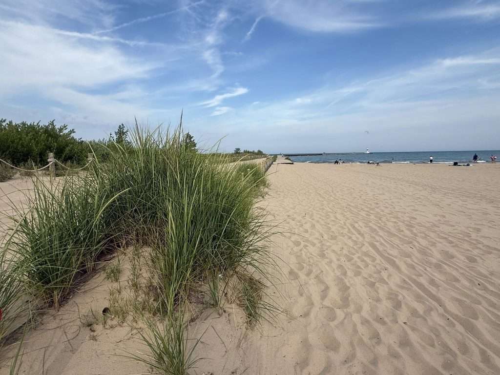 Waukegan Beach with sand and grasses.