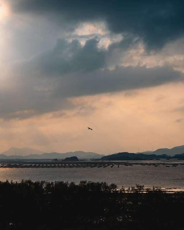 Dark skies over water and a bird is flying across.
