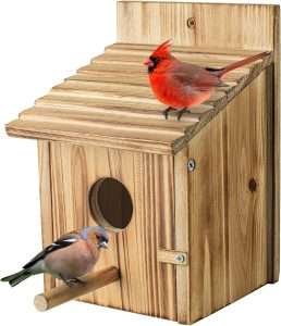 wooden bird house