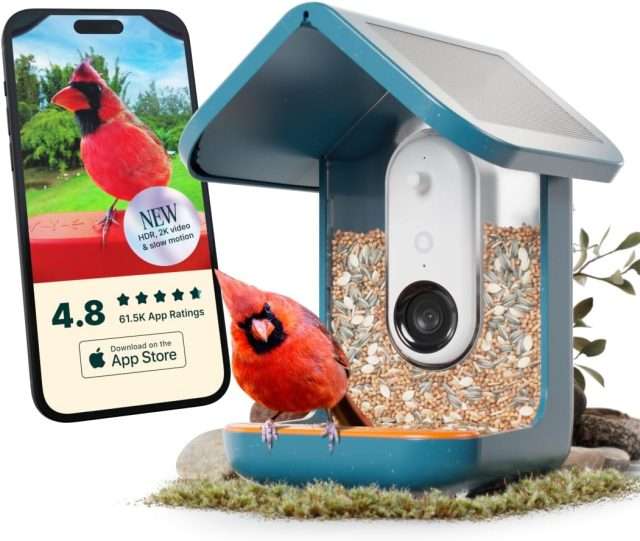 A bird feeder with a camera behind it.