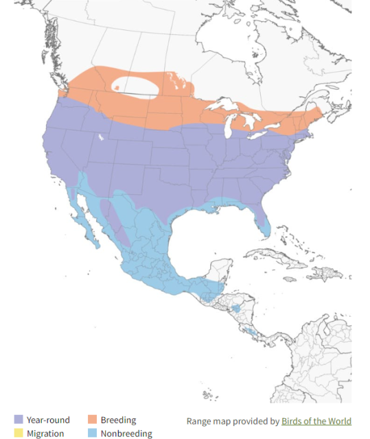 Cooper's Hawk Range Map