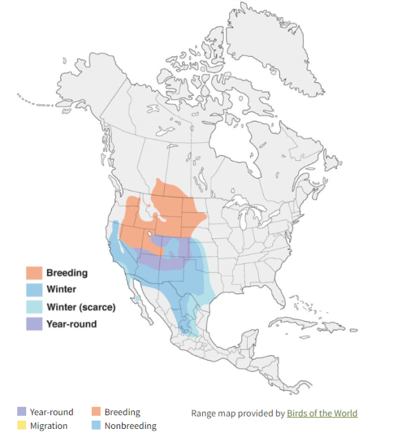 Ferruginous Hawk Range Map