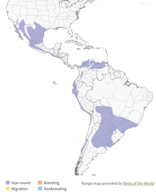 Harris's Hawk Range Map