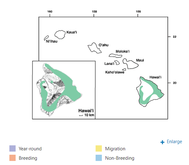 Hawaiian Hawk Range
