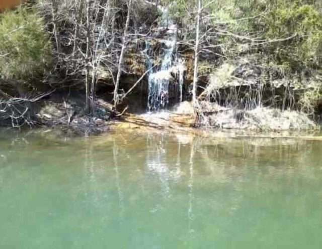 Kentucky Peabody WMA Scene