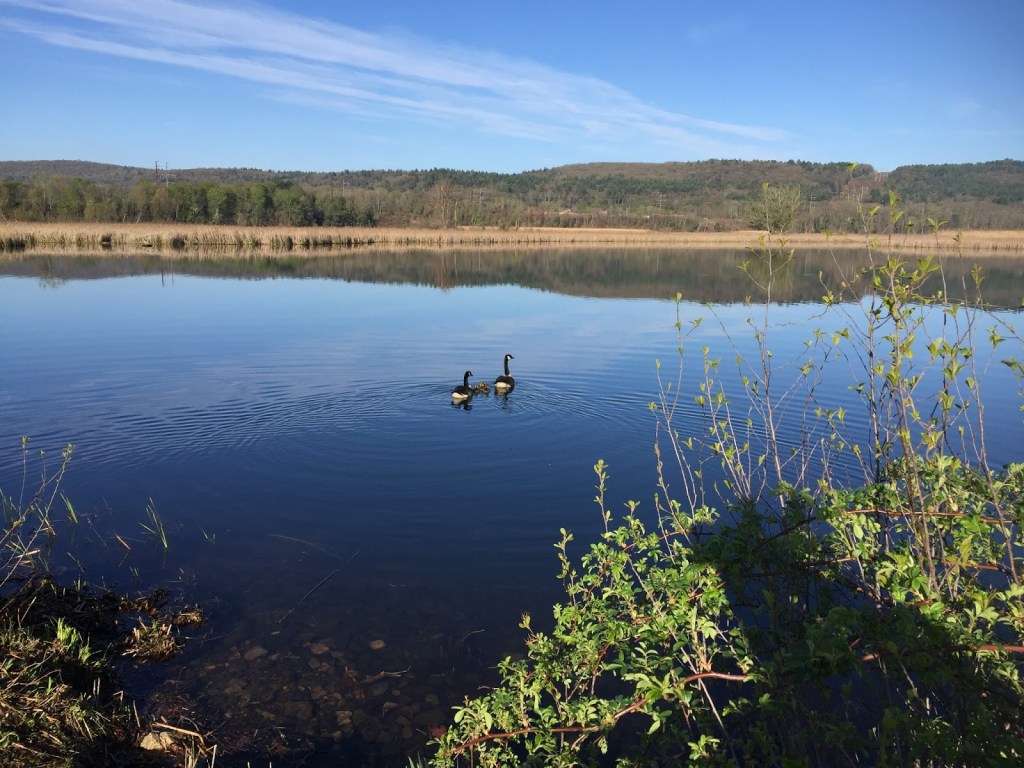 New Hampshire Hinsdale Setbacks Scene