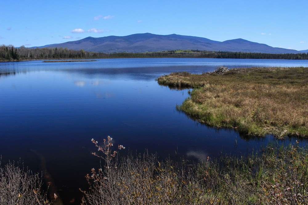 New Hampshire Pondicherry NWR Scene