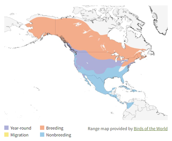 Northern Harrier Range Map