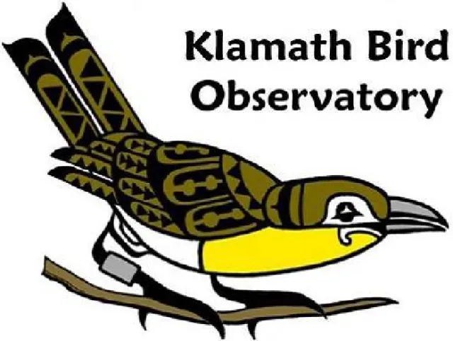 Oregon Klamath Bird Observatory Scene